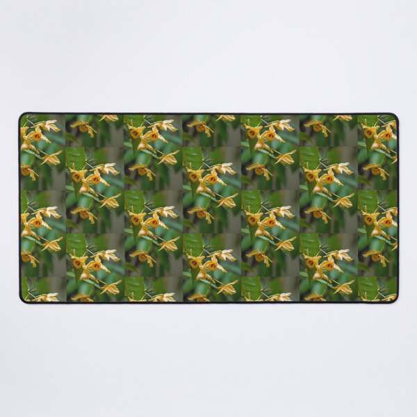 Item preview, Here's looking at you! designed and sold by Kerryn Madsen-Pietsch.