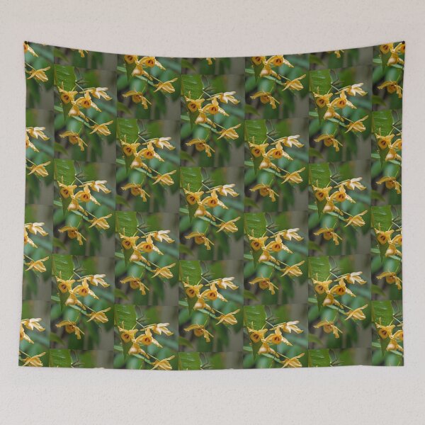 Item preview, Here's looking at you! designed and sold by Kerryn Madsen-Pietsch.