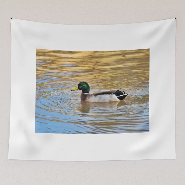 Item preview, Mallard Drake at Seaton Wetlands designed and sold by Dorset Girl.