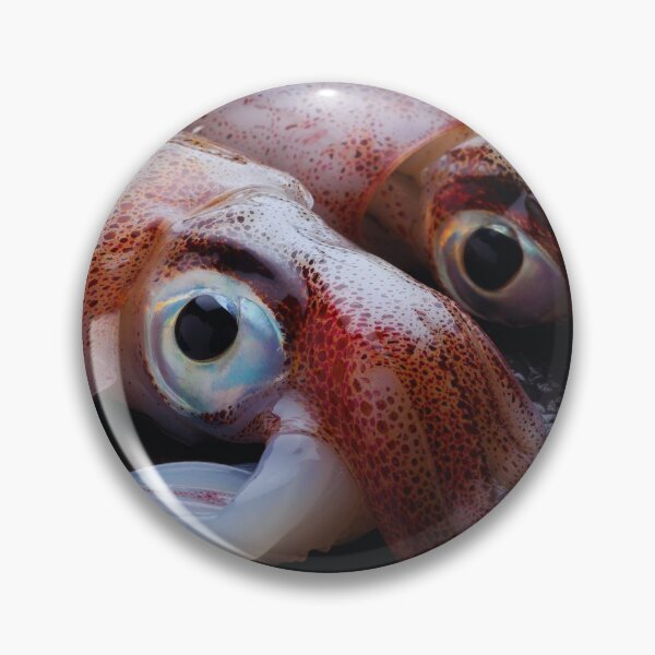 Item preview, squid photo with high resolution quality designed and sold by Allyouneed-2.