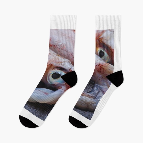 Item preview, squid photo with high resolution quality designed and sold by Allyouneed-2.
