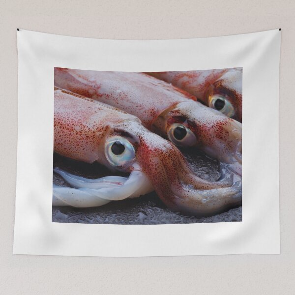 Item preview, squid photo with high resolution quality designed and sold by Allyouneed-2.