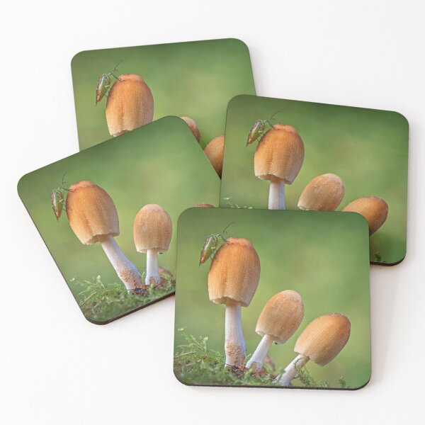 Item preview, Glistening Inkcap Mushrooms with Shield Bug designed and sold by Tony North.