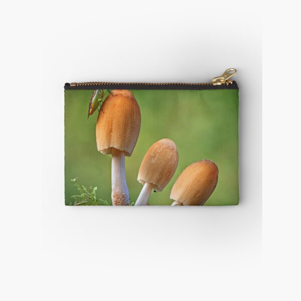 Item preview, Glistening Inkcap Mushrooms with Shield Bug designed and sold by Tony North.