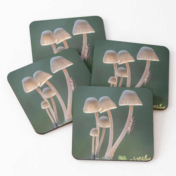 Item preview, Angels Bonnets with Woodlouse designed and sold by Tony North.