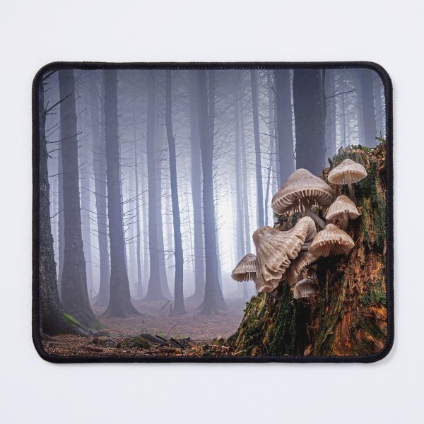 Item preview, Common Bonnets in a Misty Forest designed and sold by Tony North.