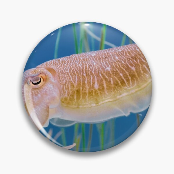Item preview, squid photo with high resolution quality designed and sold by Allyouneed-2.