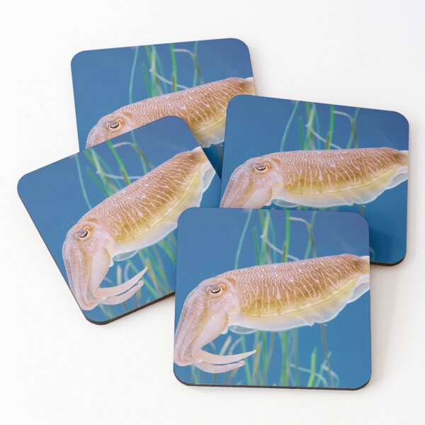 Item preview, squid photo with high resolution quality designed and sold by Allyouneed-2.