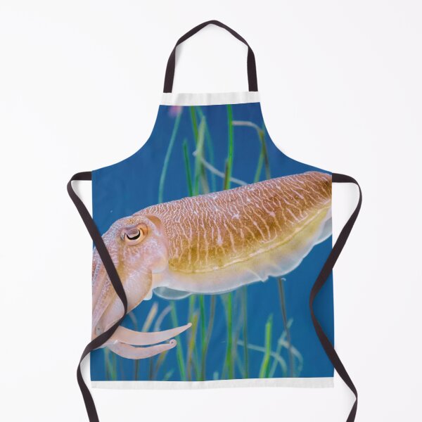 Item preview, squid photo with high resolution quality designed and sold by Allyouneed-2.