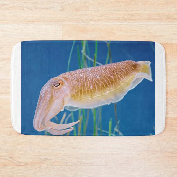 Item preview, squid photo with high resolution quality designed and sold by Allyouneed-2.