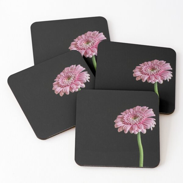 Item preview, Pink Gerbera with Black Background designed and sold by Tony North.