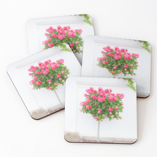 Item preview, Rose bush, wall, rose, roses, pink, Putbus, Rügen, soft, flower designed and sold by Torsten  Krüger.