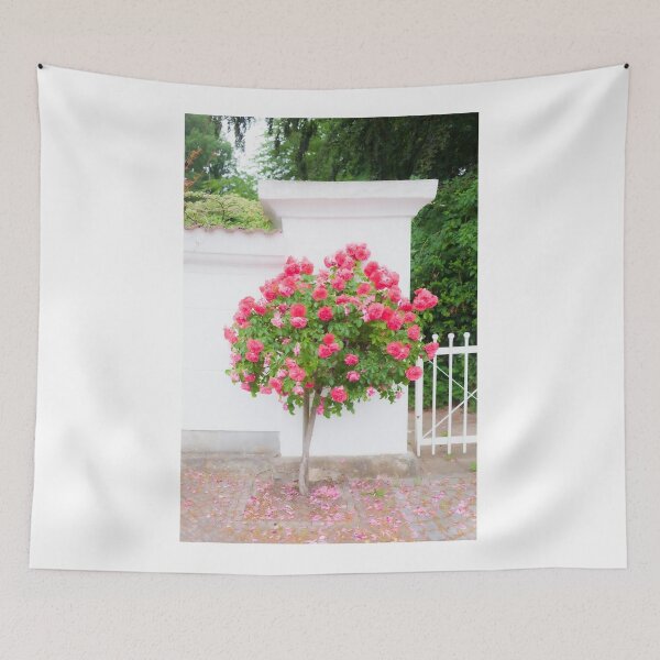 Item preview, Rose bush, wall, rose, roses, pink, Putbus, Rügen, soft, flower designed and sold by Torsten  Krüger.