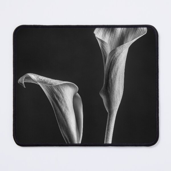 Item preview, Calla Lilies in Black and White with a Black Background designed and sold by Tony North.