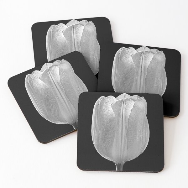 Item preview, White Tulip with Black Background designed and sold by Tony North.