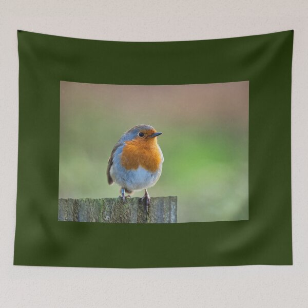 Item preview, English Robin Redbreast at Seaton Wetlands designed and sold by Dorset Girl.