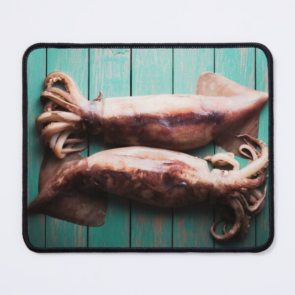 Item preview, squid photo with high resolution quality designed and sold by Allyouneed-2.