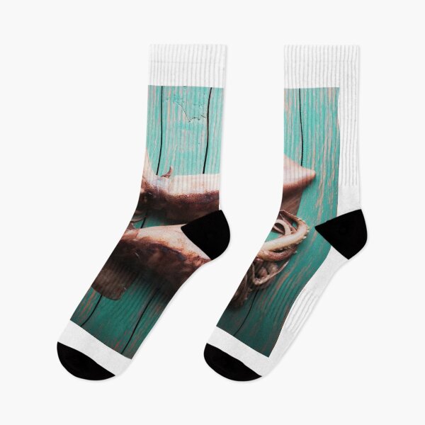 Item preview, squid photo with high resolution quality designed and sold by Allyouneed-2.