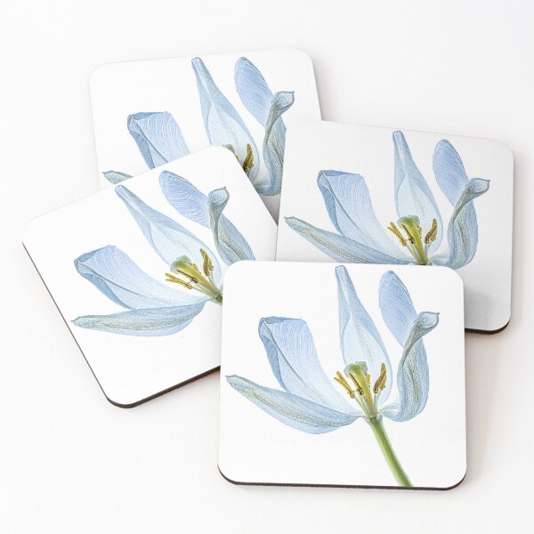 Item preview, Aged White Tulip Backlit designed and sold by Tony North.