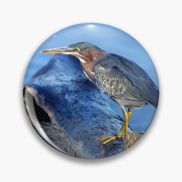 Item preview, Green Heron designed and sold by James Cumming.