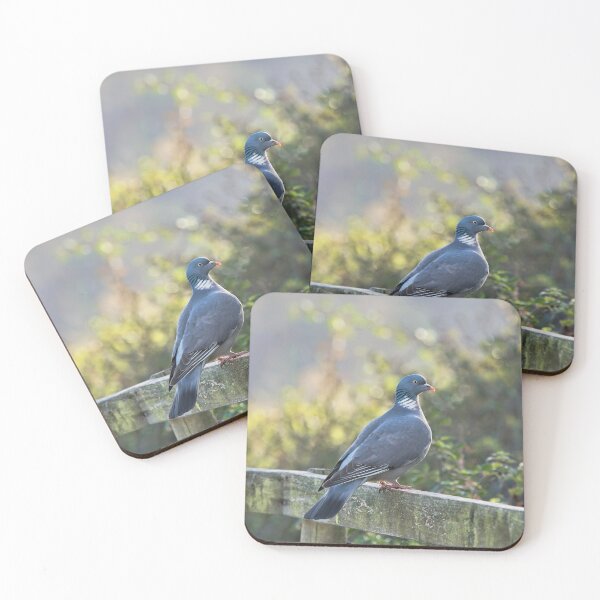 Item preview, Wood Pigeon at Seaton Wetlands designed and sold by Dorset Girl.