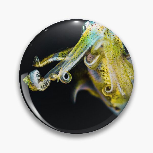 Item preview, squid photo with high resolution quality designed and sold by Allyouneed-2.