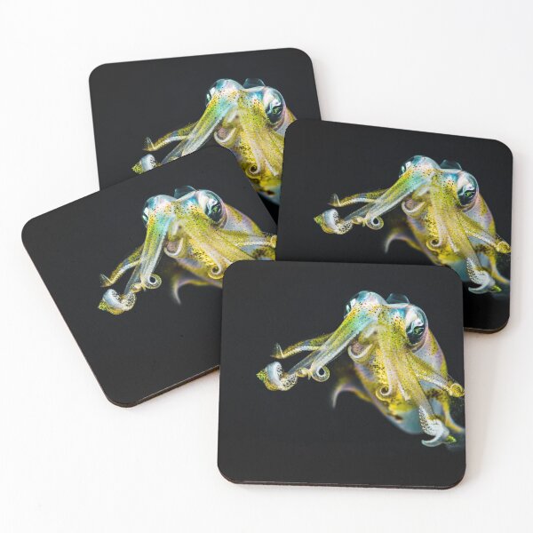 Item preview, squid photo with high resolution quality designed and sold by Allyouneed-2.