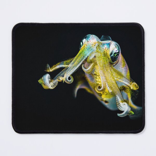 Item preview, squid photo with high resolution quality designed and sold by Allyouneed-2.