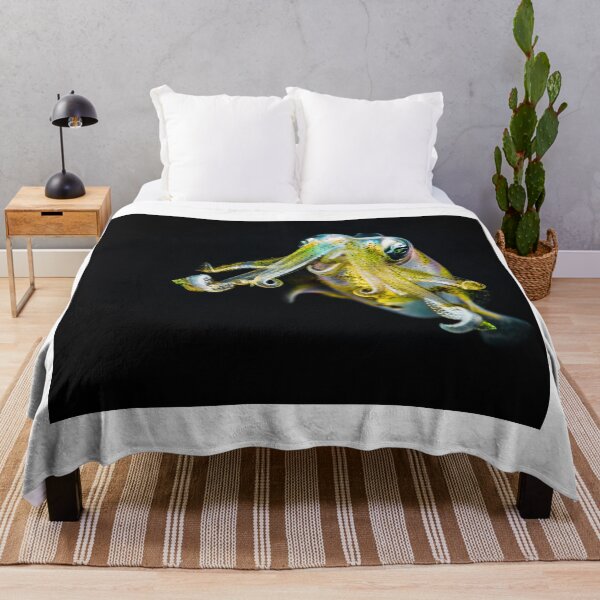 Item preview, squid photo with high resolution quality designed and sold by Allyouneed-2.