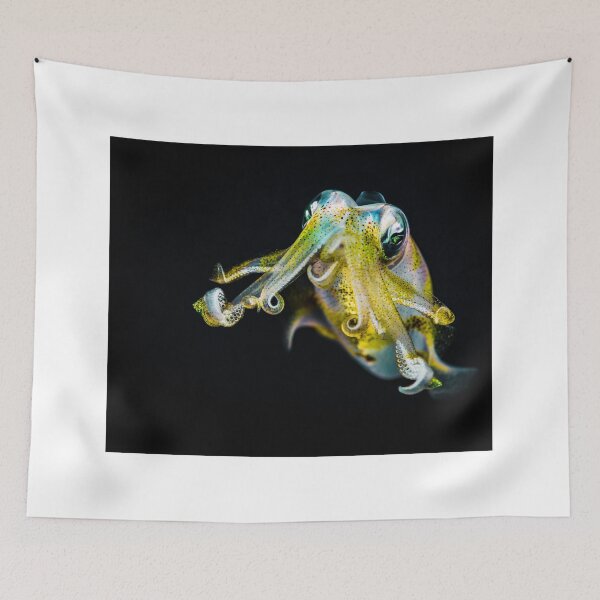 Item preview, squid photo with high resolution quality designed and sold by Allyouneed-2.