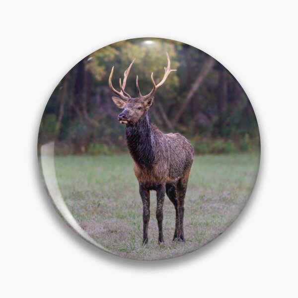 Item preview, Young Bull Elk designed and sold by mljdwhite.