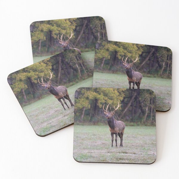 Item preview, Young Bull Elk designed and sold by mljdwhite.