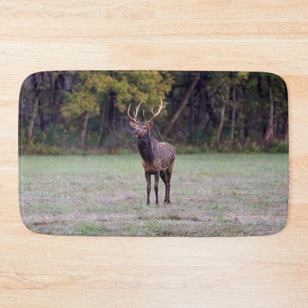 Item preview, Young Bull Elk designed and sold by mljdwhite.