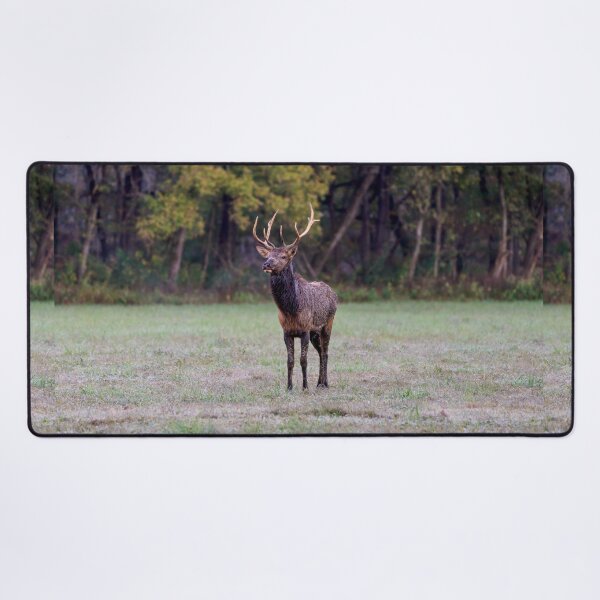 Item preview, Young Bull Elk designed and sold by mljdwhite.