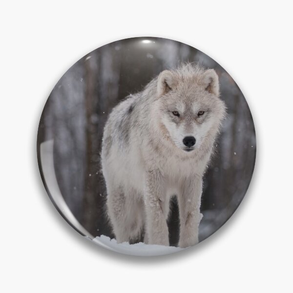 Item preview, Arctic Wolf Pup designed and sold by WolvesOnly.