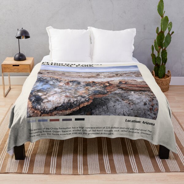 Item preview, Petrified Forest National Park designed and sold by JoshuaDarbon94.
