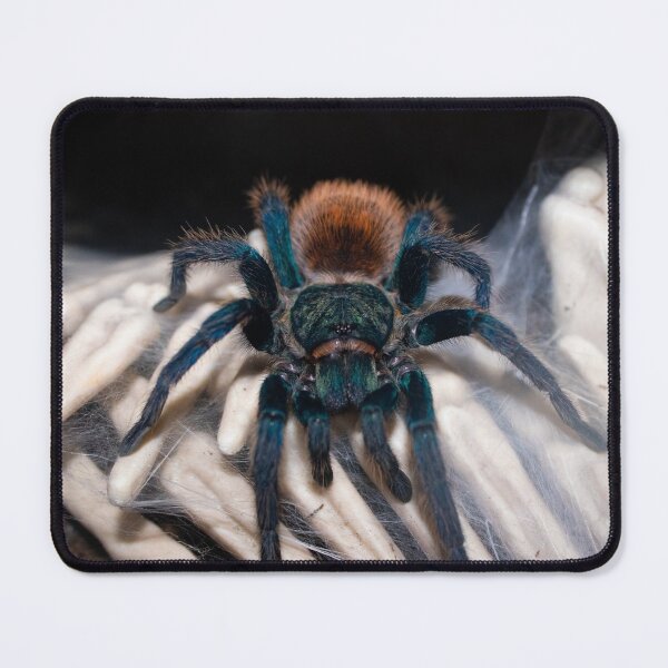 Item preview, auntie Mame designed and sold by StonedSpider.