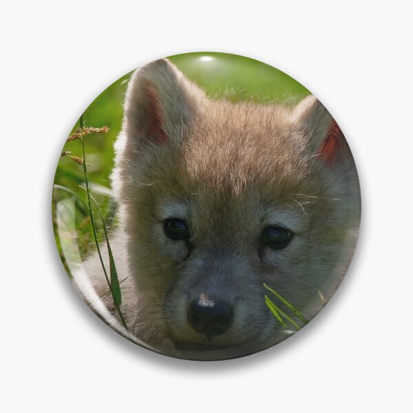 Item preview, Arctic Wolf Pup designed and sold by WolvesOnly.