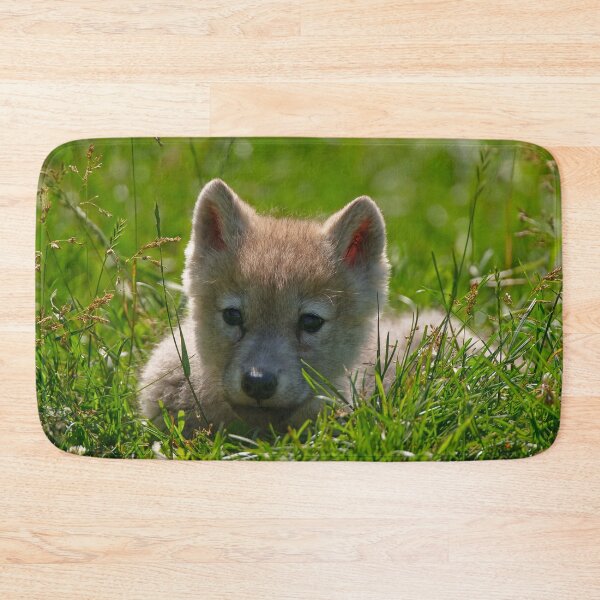 Item preview, Arctic Wolf Pup designed and sold by WolvesOnly.