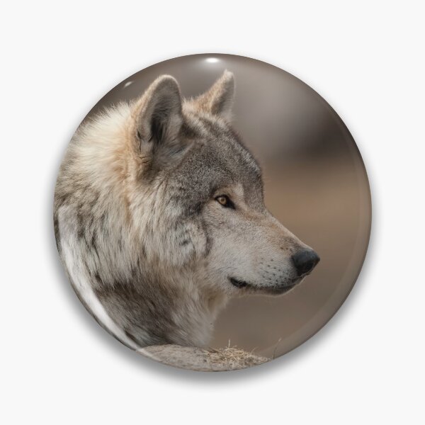 Item preview, Timber Wolf designed and sold by WolvesOnly.
