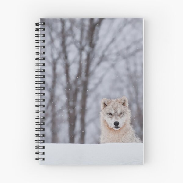 Item preview, Arctic Wolf Pup designed and sold by WolvesOnly.