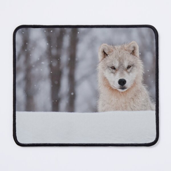 Item preview, Arctic Wolf Pup designed and sold by WolvesOnly.