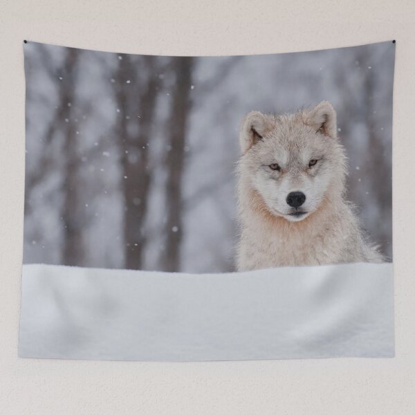 Item preview, Arctic Wolf Pup designed and sold by WolvesOnly.