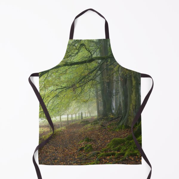 Item preview, Autumn Beech Trees designed and sold by Craig Joiner.
