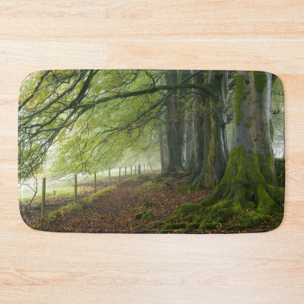 Item preview, Autumn Beech Trees designed and sold by Craig Joiner.