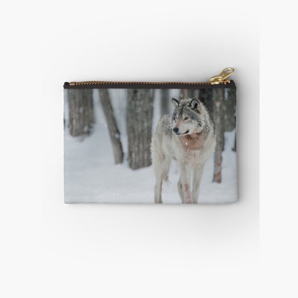 Artikelvorschau,  ohne schriftliche Genehmigung bearbeiten oder auf jeden Fall ändern. Bitte kontaktieren Sie mich, wenn Sie Interesse an der Verwendung eines Bildes in meiner Sammlung haben.

Eingelassenes Quebec Kanada

Nikon D700
1/250
F6.7
ISO 2000
EV 0,00
Sp entworfen und verkauft von WolvesOnly.