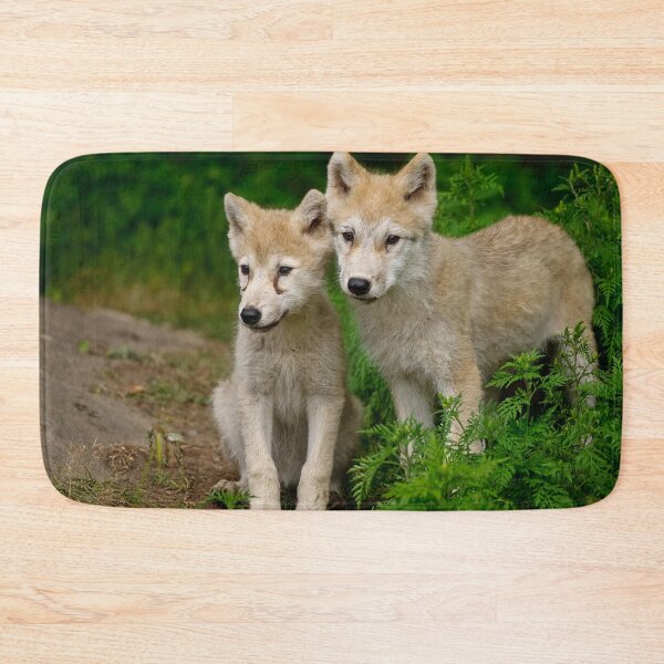 Item preview, Arctic Wolf Pups designed and sold by WolvesOnly.
