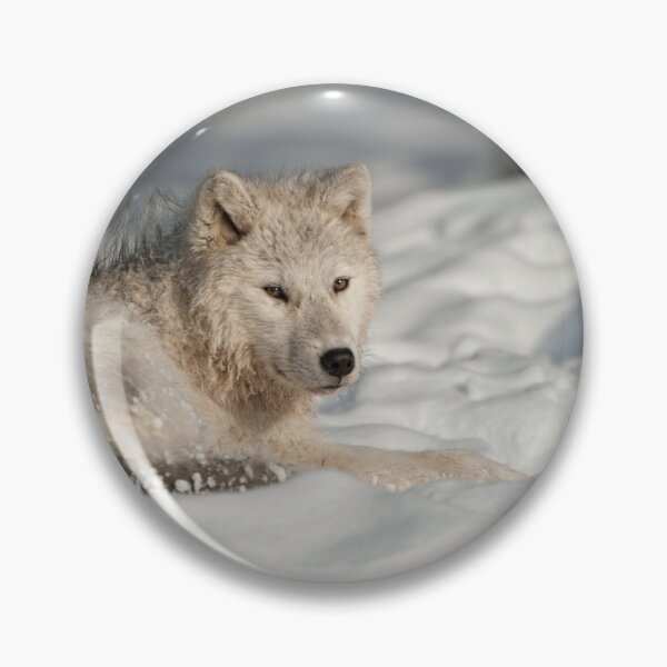 Item preview, Arctic Wolf designed and sold by WolvesOnly.