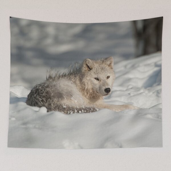Item preview, Arctic Wolf designed and sold by WolvesOnly.