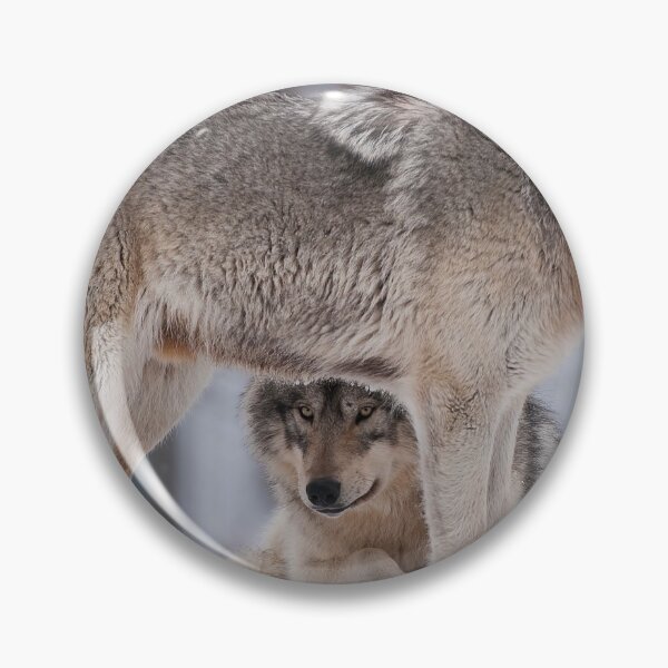 Item preview, Timber Wolves designed and sold by WolvesOnly.